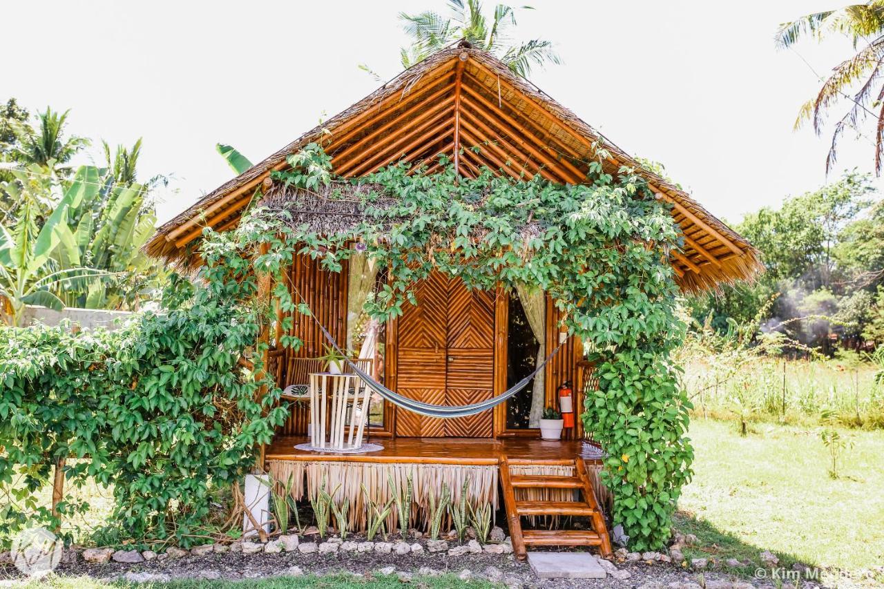 Tongo Hill Cottages 몰볼 외부 사진