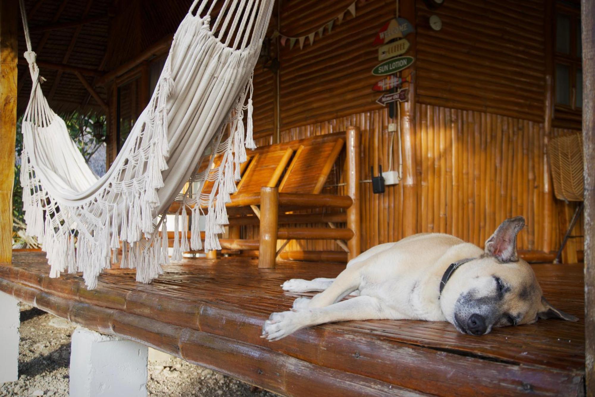 Tongo Hill Cottages 몰볼 외부 사진